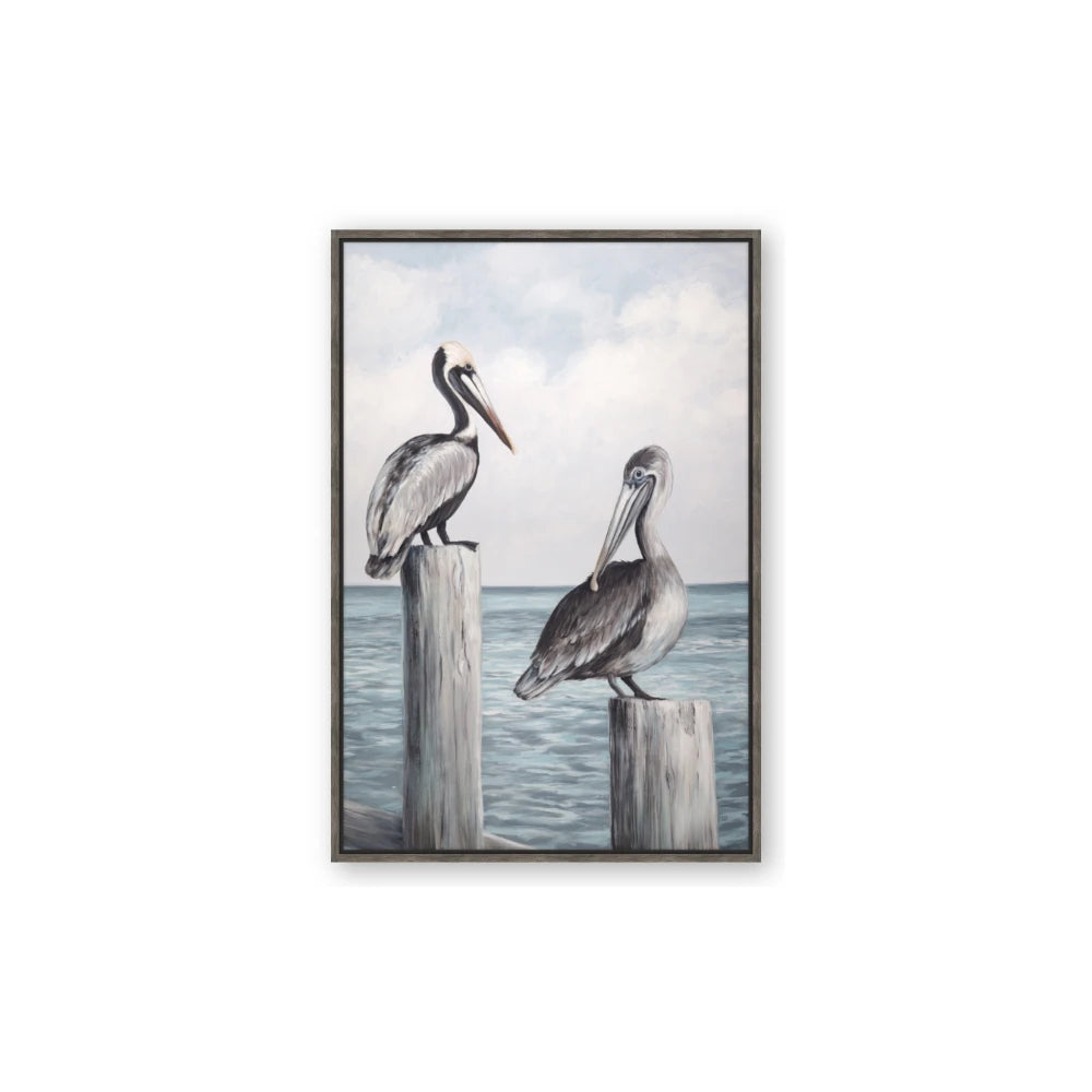 Observing Pelicans