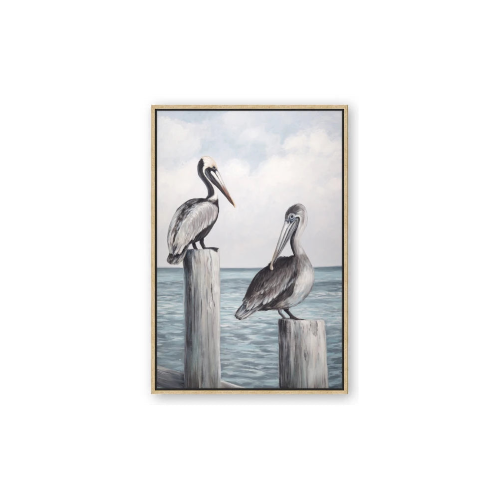 Observing Pelicans