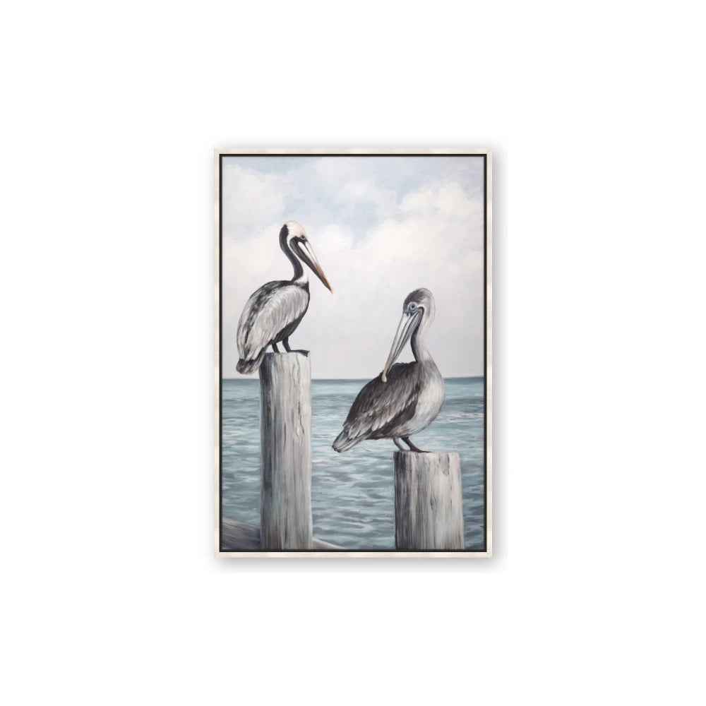Observing Pelicans