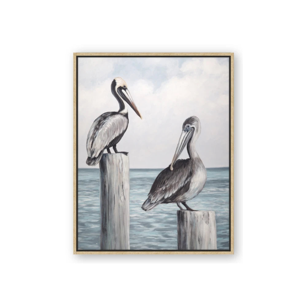 Observing Pelicans