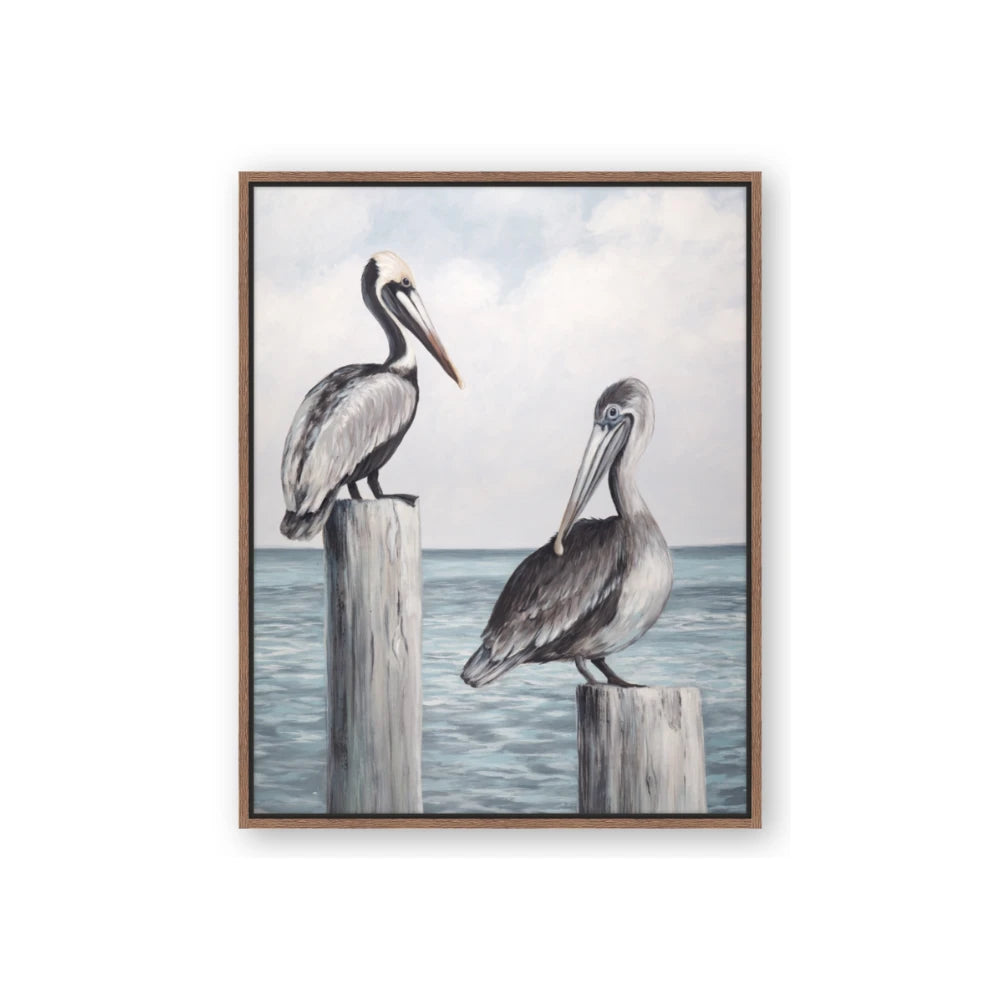 Observing Pelicans