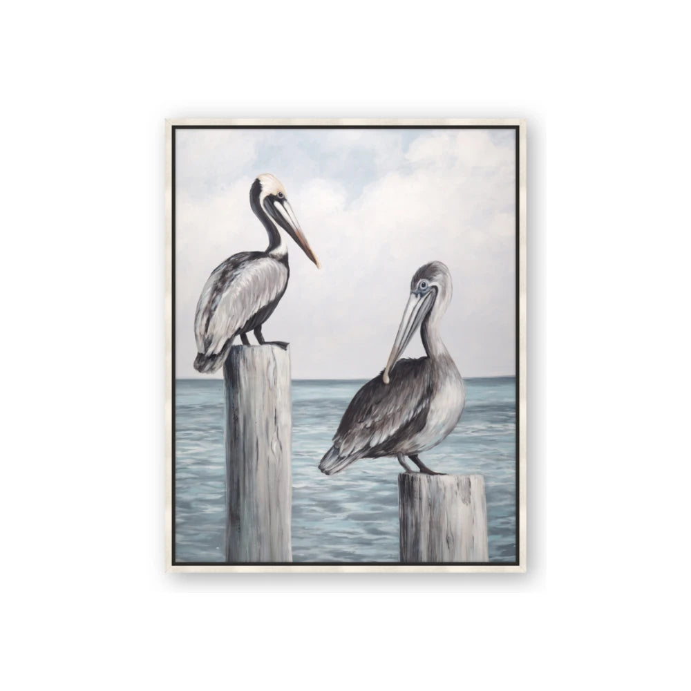Observing Pelicans