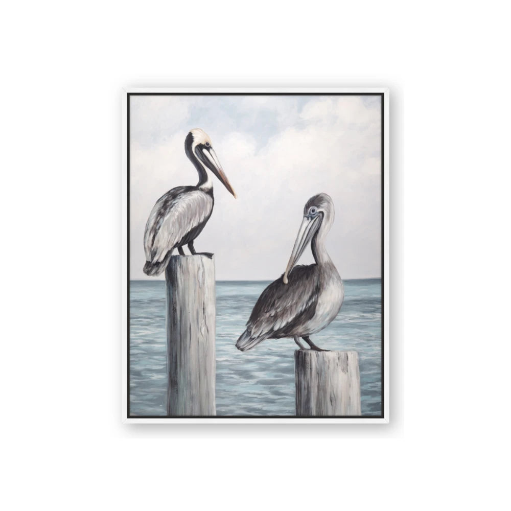 Observing Pelicans