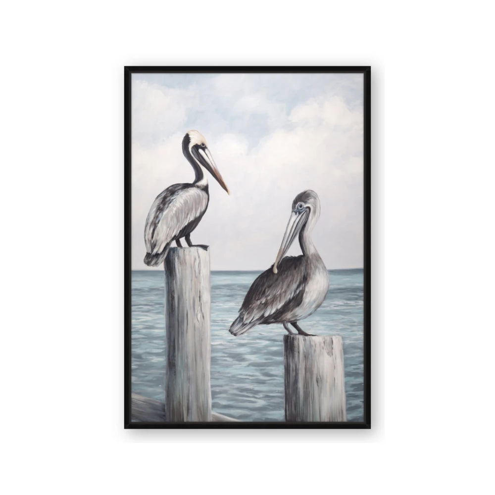 Observing Pelicans