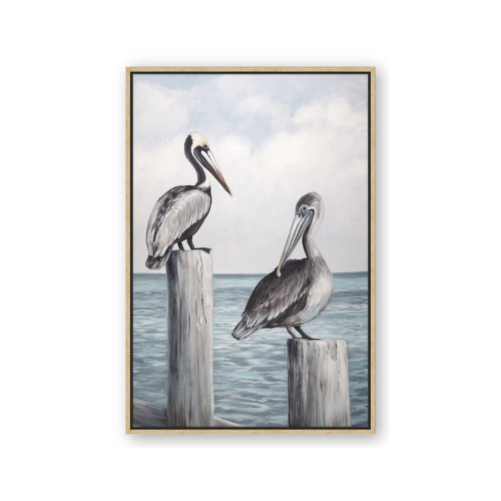 Observing Pelicans