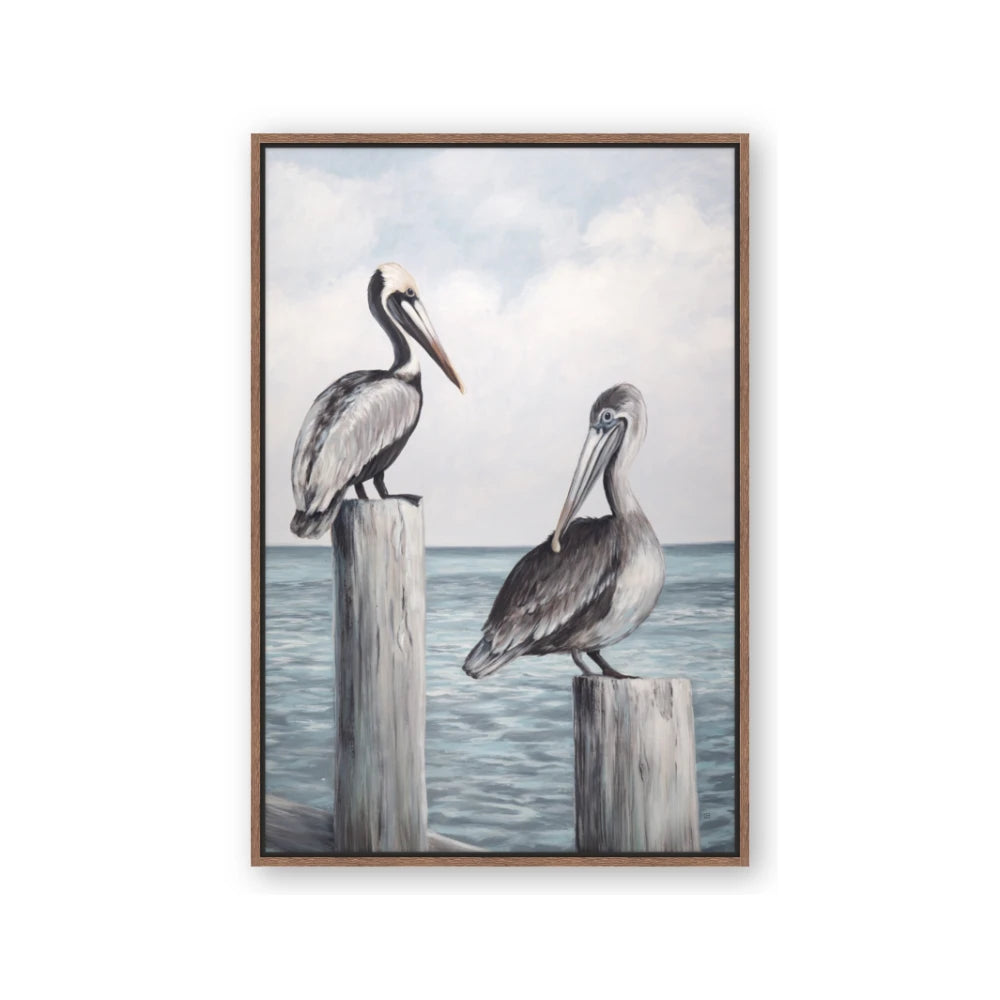 Observing Pelicans