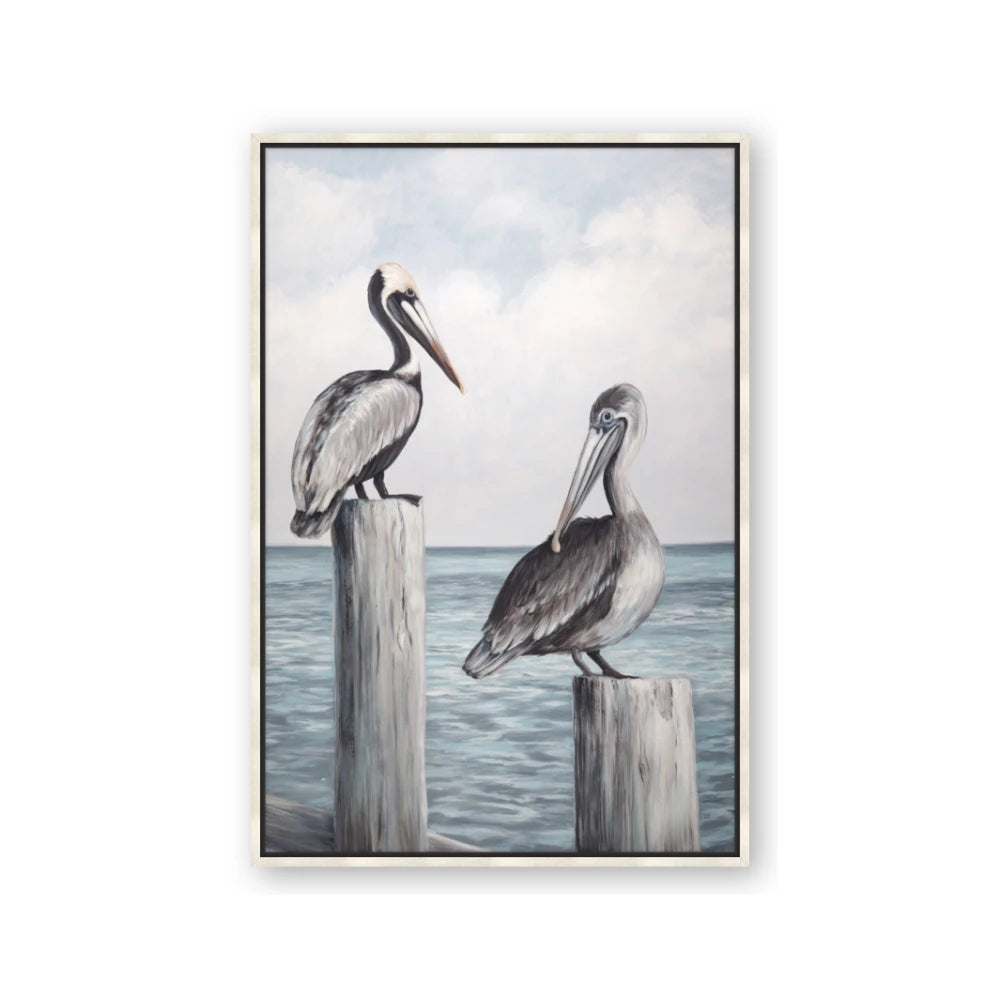 Observing Pelicans