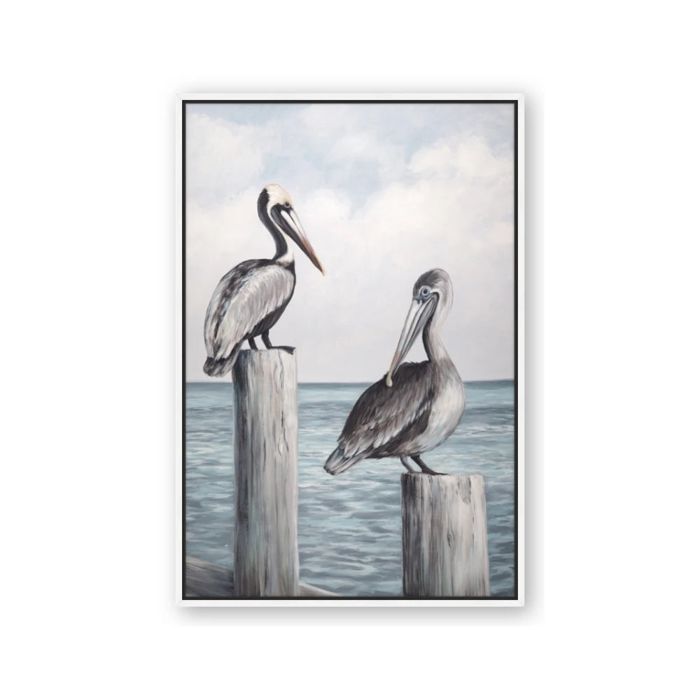 Observing Pelicans