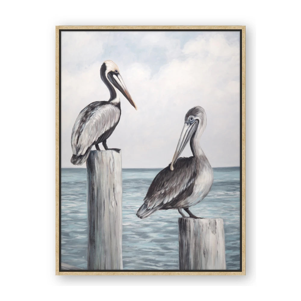 Observing Pelicans