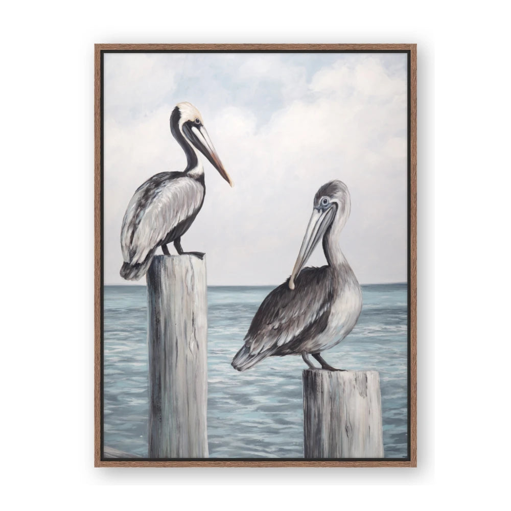Observing Pelicans