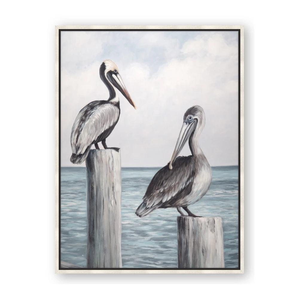 Observing Pelicans