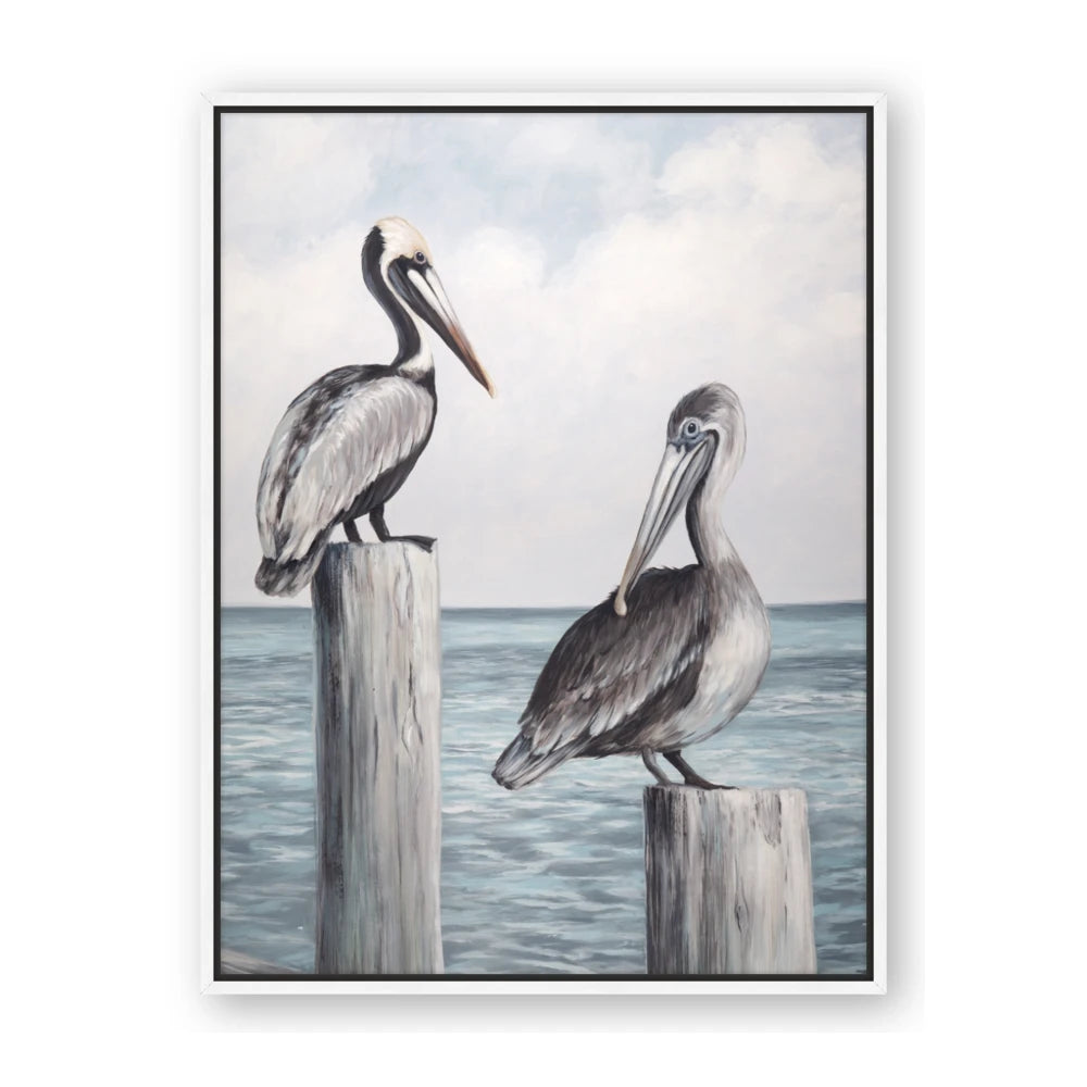 Observing Pelicans