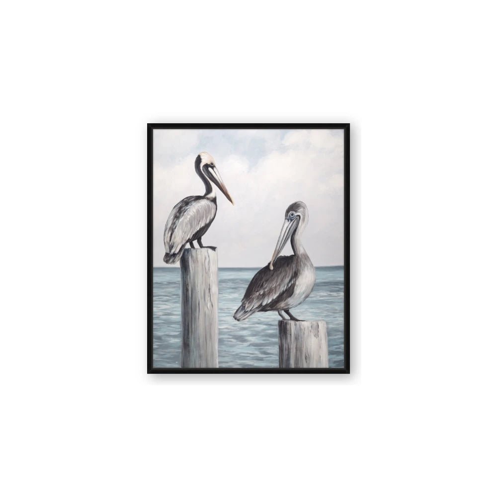 Observing Pelicans