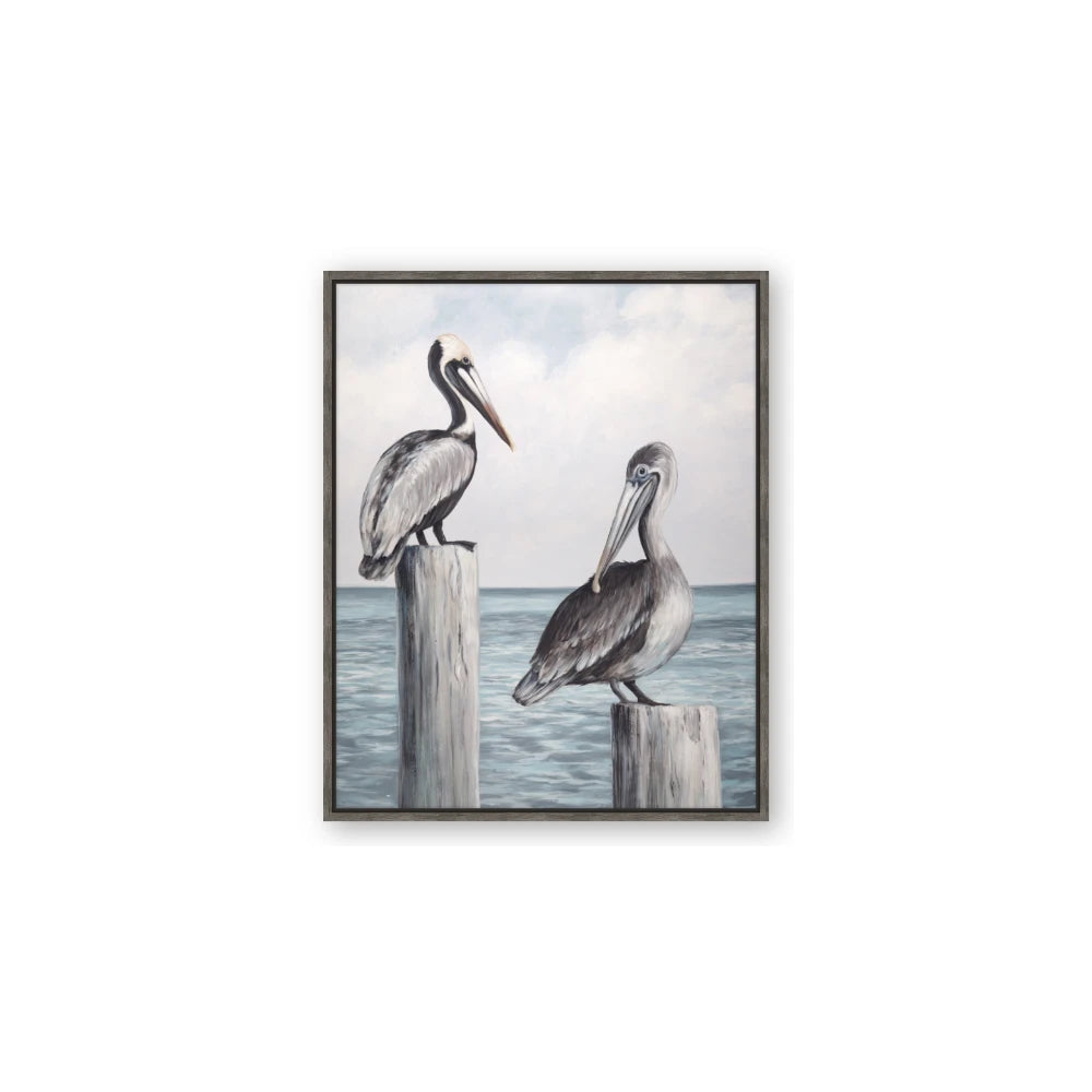 Observing Pelicans
