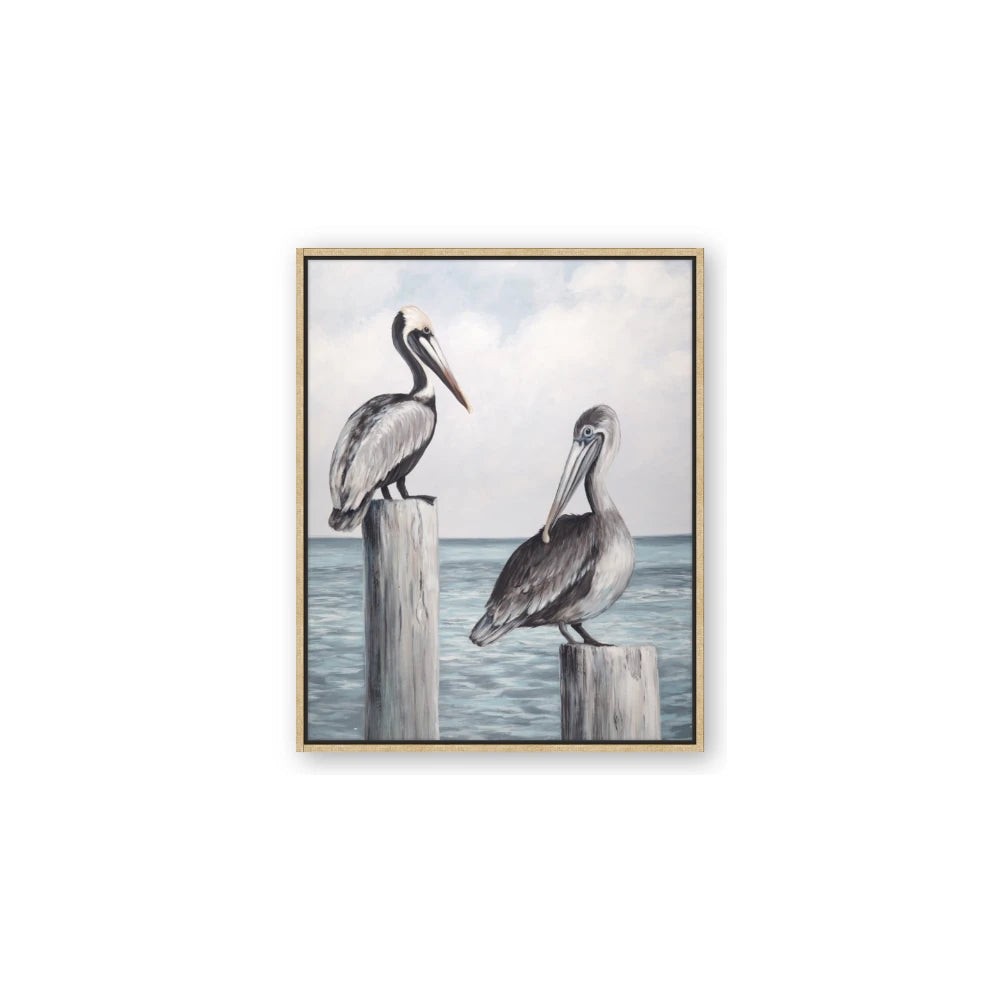 Observing Pelicans