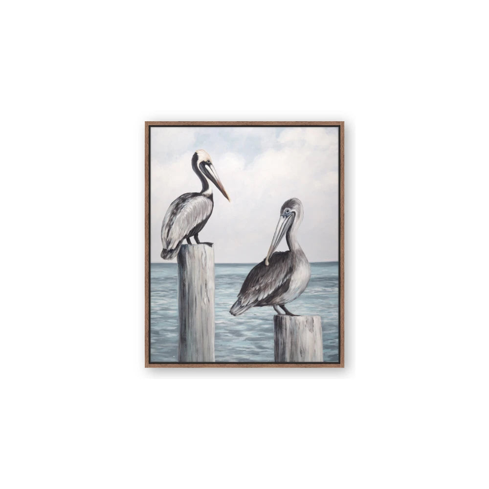 Observing Pelicans