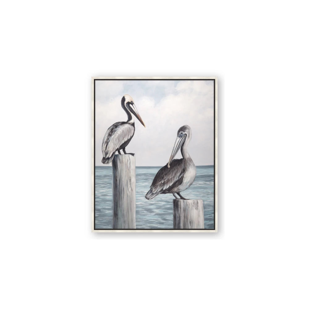 Observing Pelicans