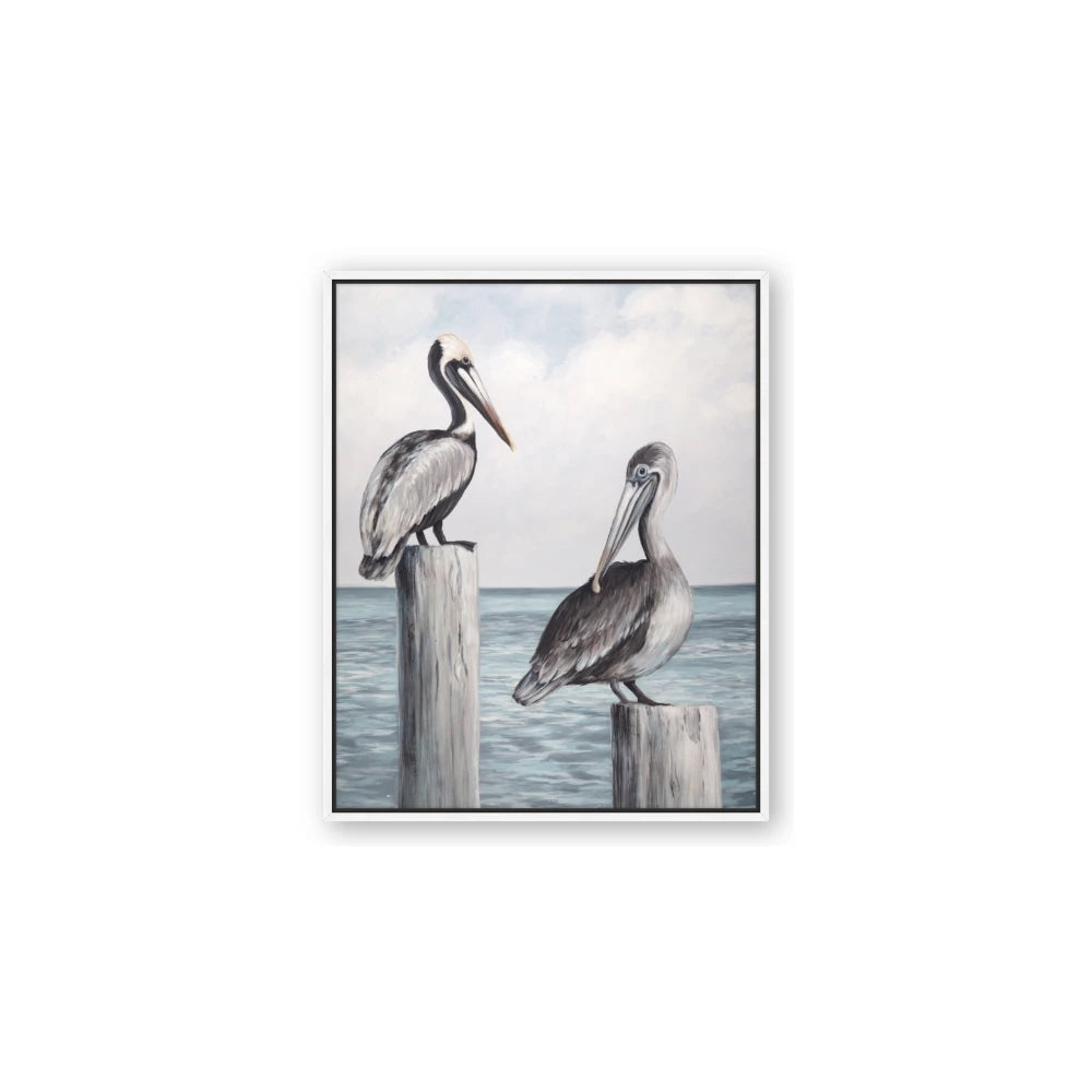 Observing Pelicans