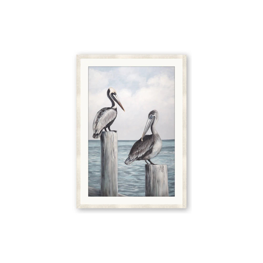 Observing Pelicans