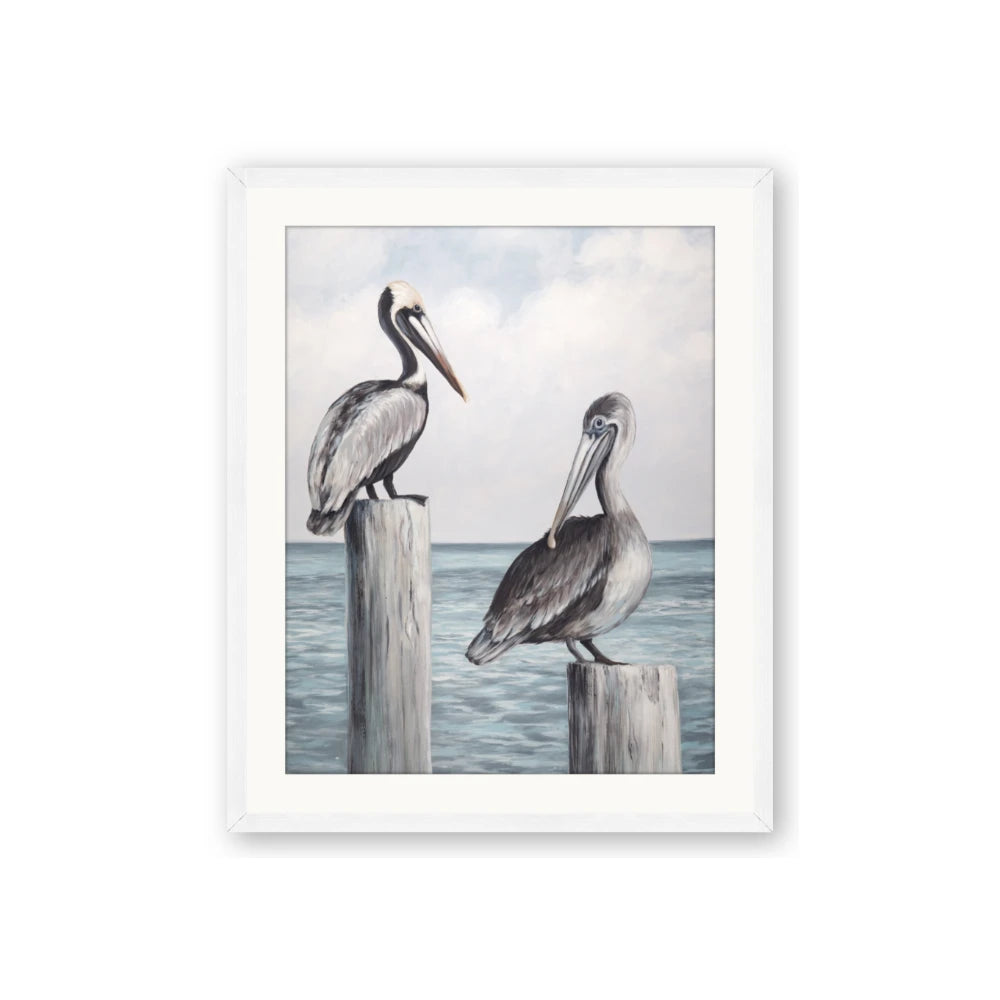 Observing Pelicans