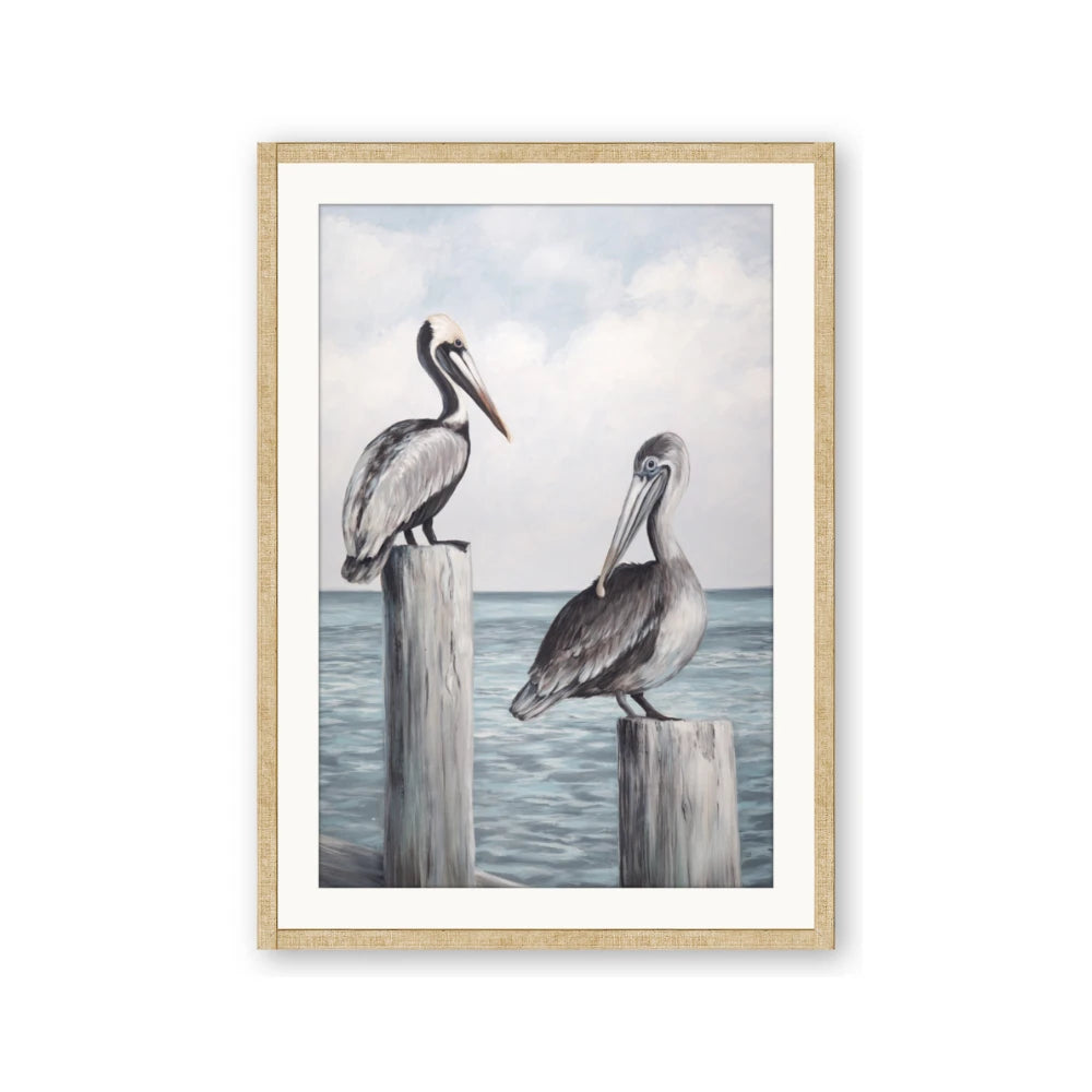 Observing Pelicans