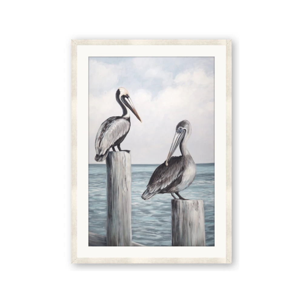Observing Pelicans