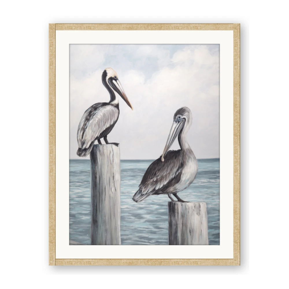 Observing Pelicans