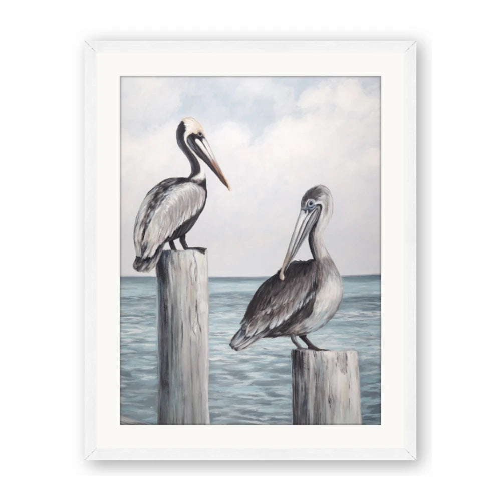Observing Pelicans