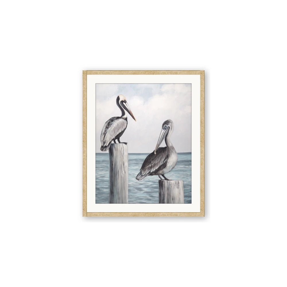 Observing Pelicans