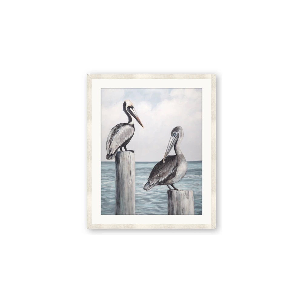 Observing Pelicans