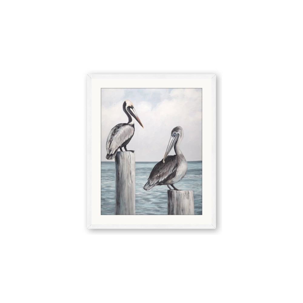 Observing Pelicans