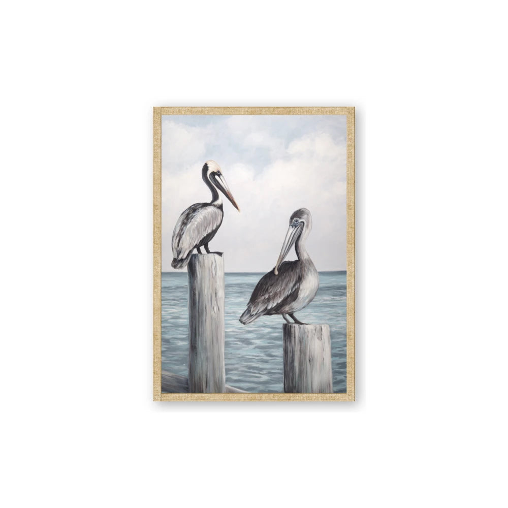 Observing Pelicans