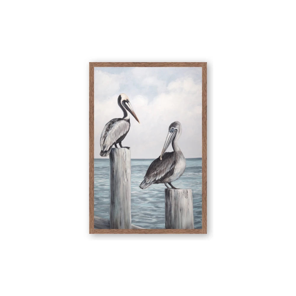 Observing Pelicans