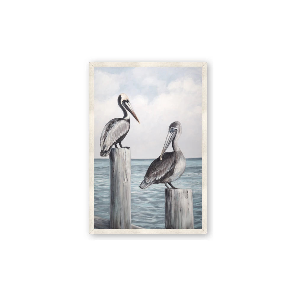 Observing Pelicans