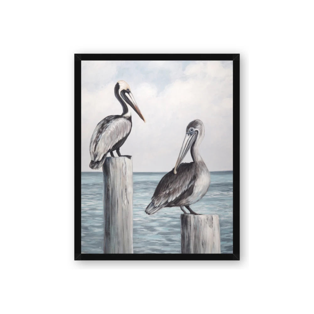 Observing Pelicans