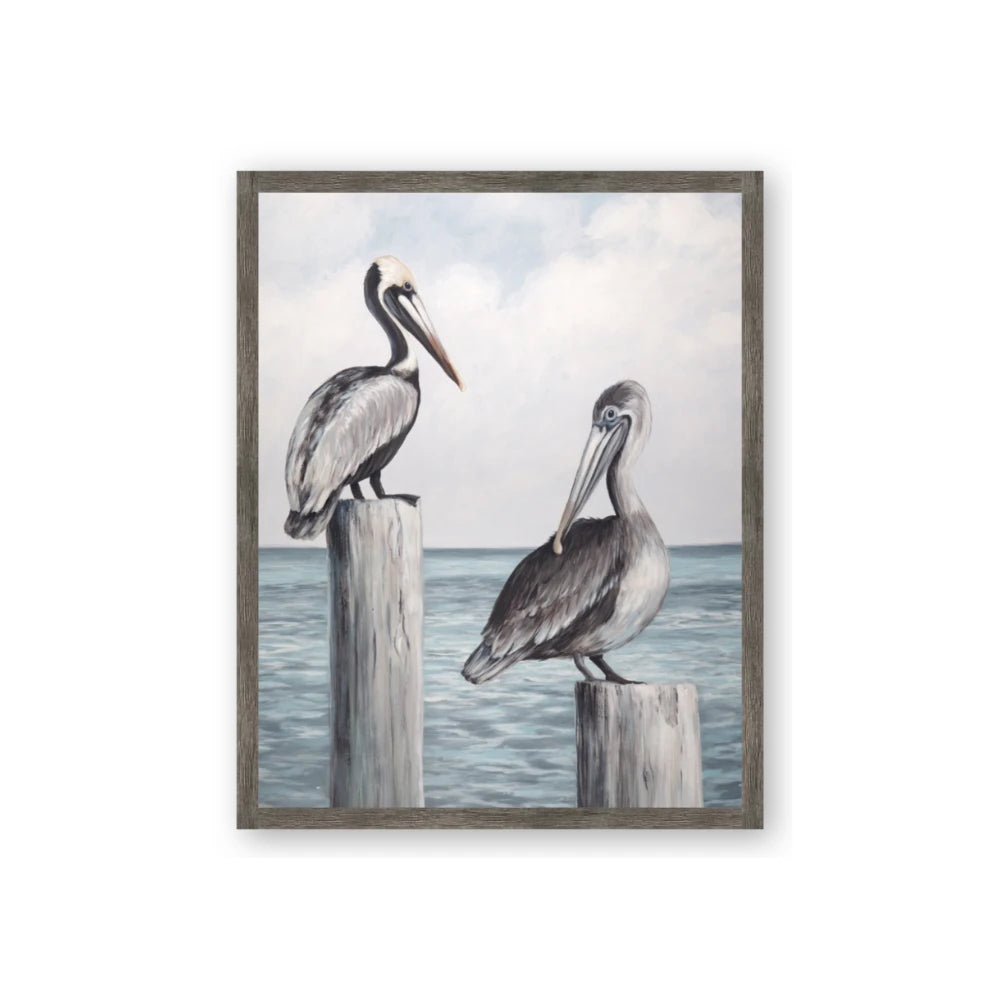 Observing Pelicans