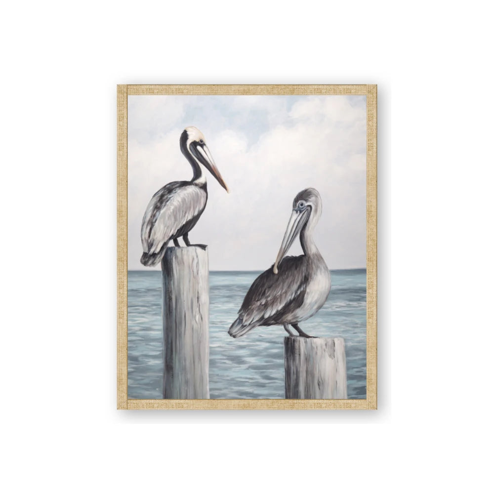 Observing Pelicans