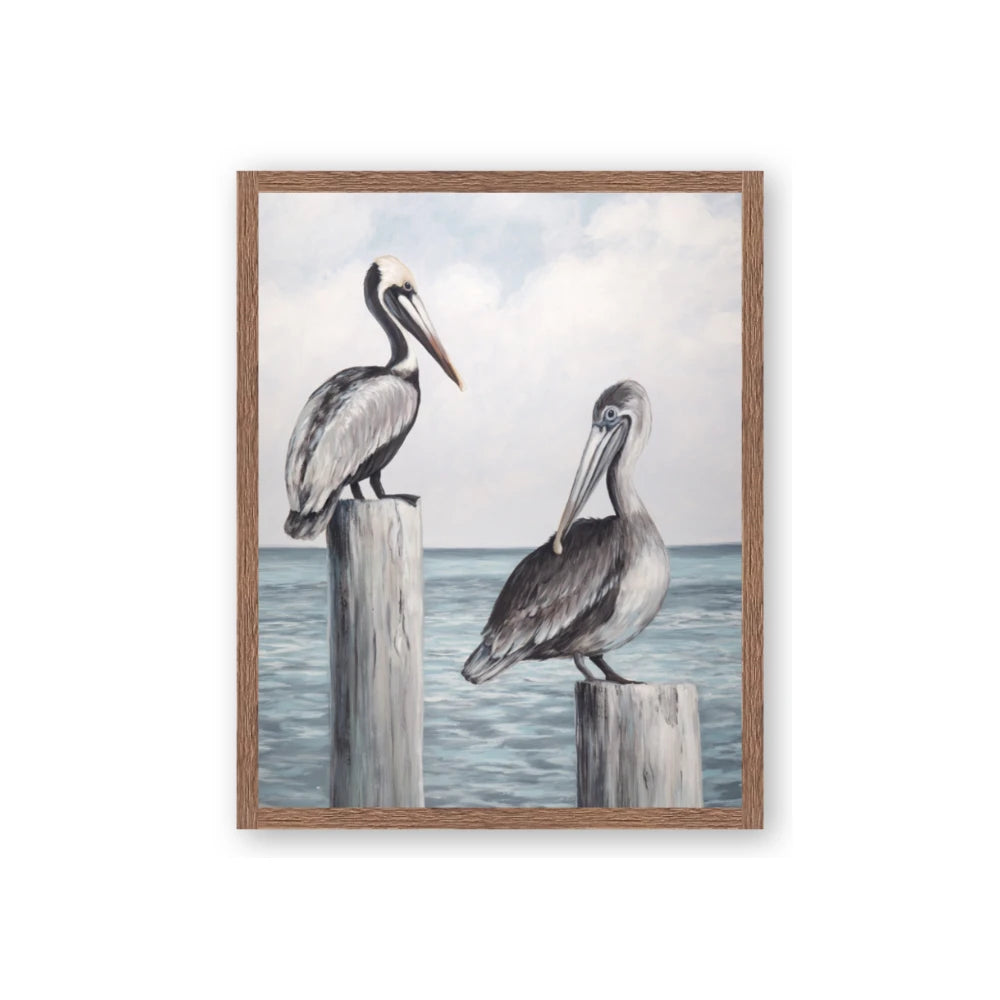 Observing Pelicans