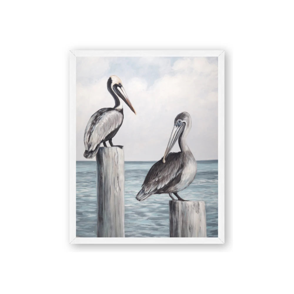 Observing Pelicans