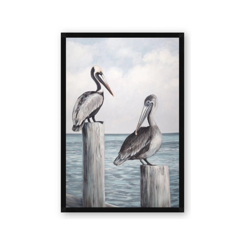 Observing Pelicans
