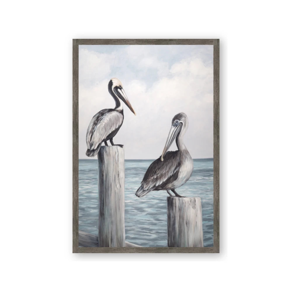 Observing Pelicans