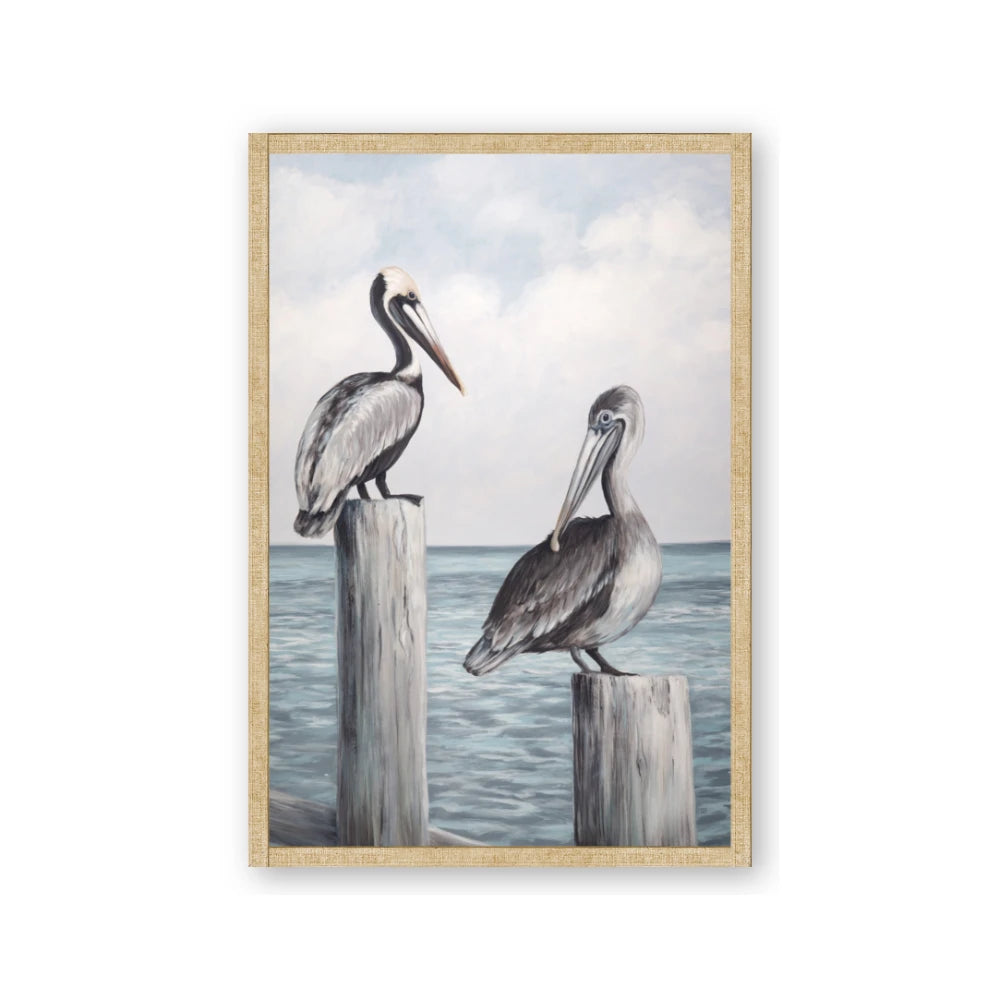 Observing Pelicans