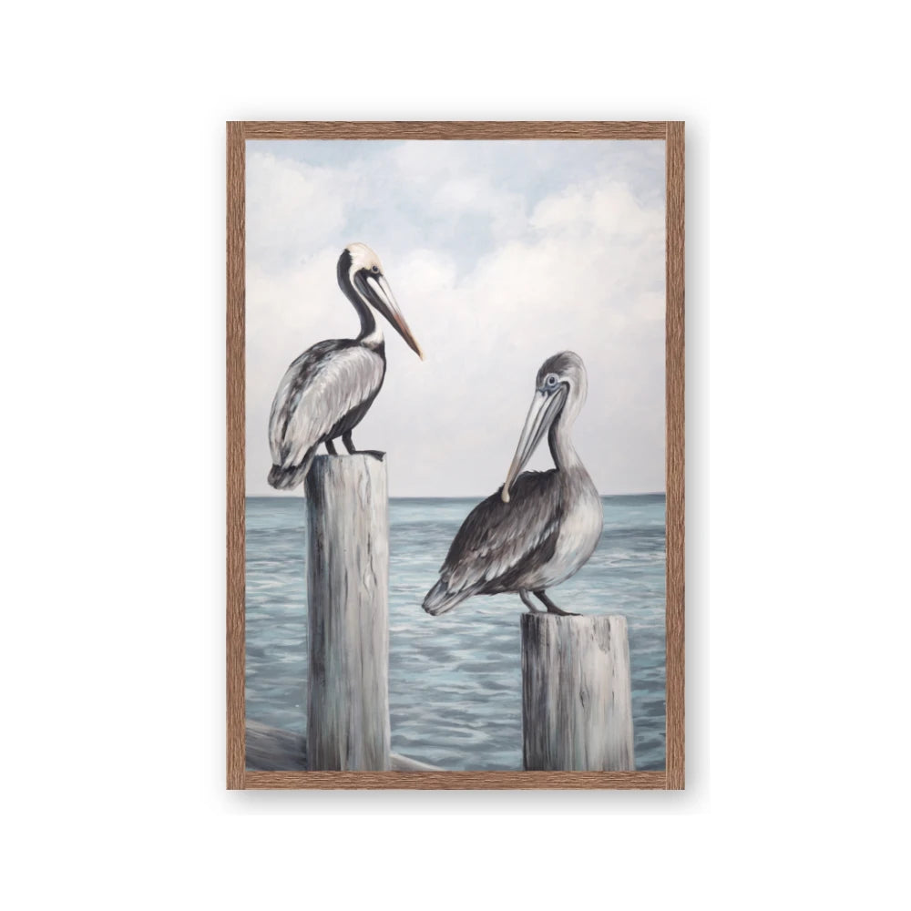 Observing Pelicans