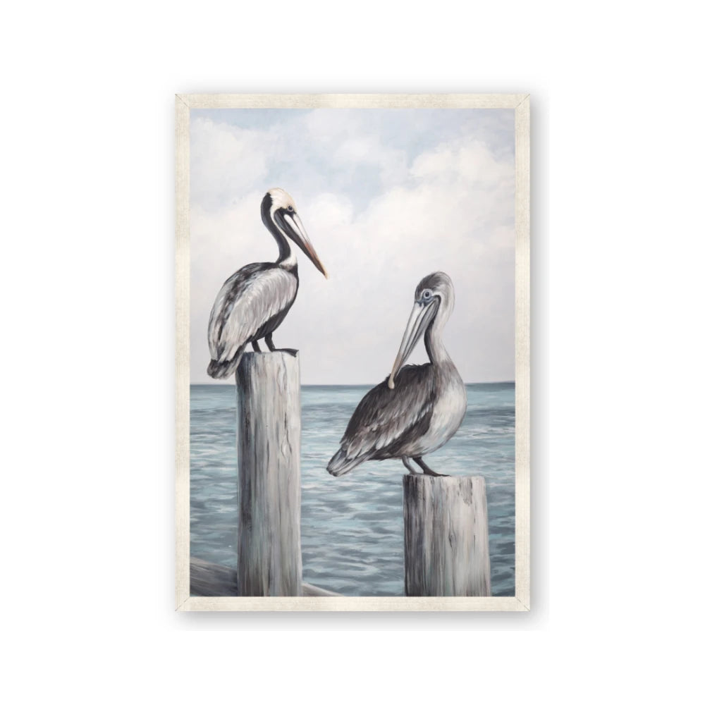 Observing Pelicans