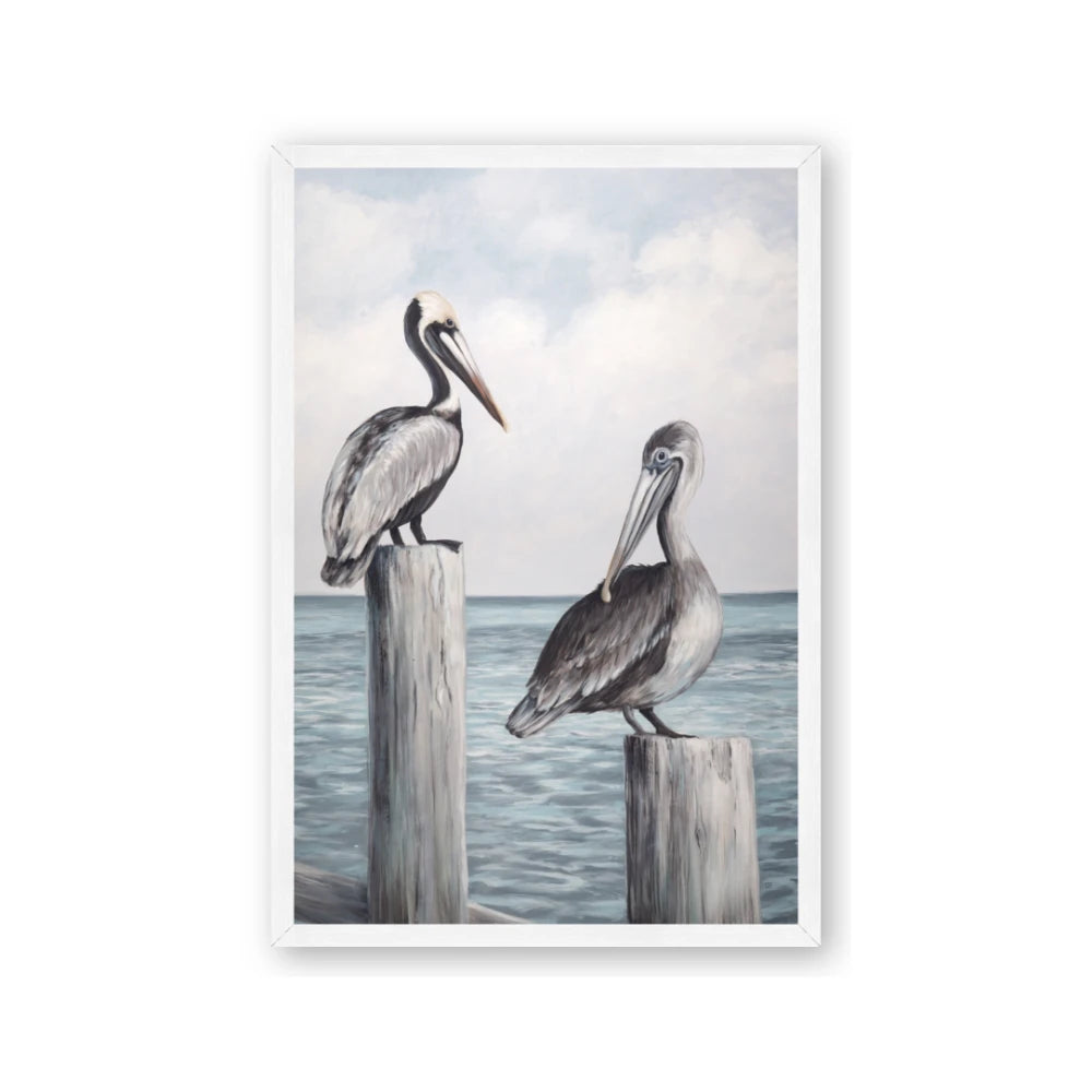 Observing Pelicans