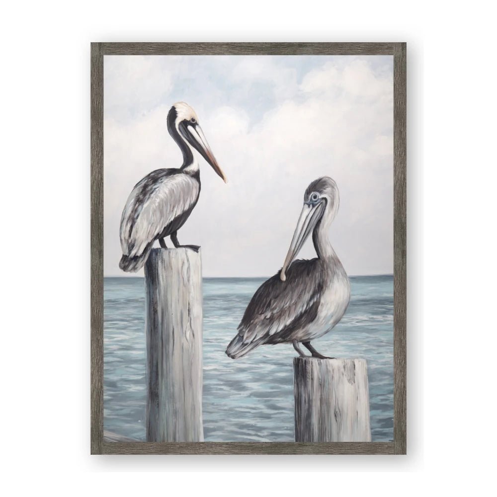 Observing Pelicans