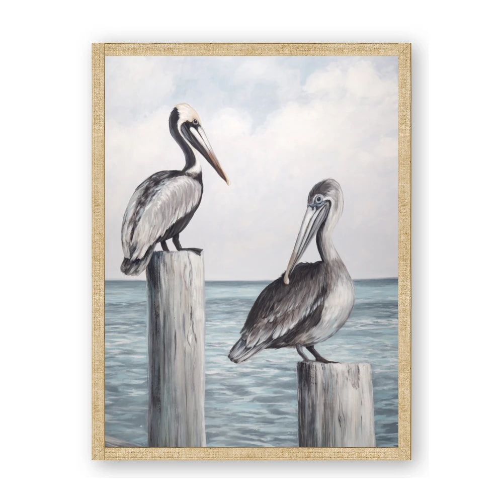 Observing Pelicans