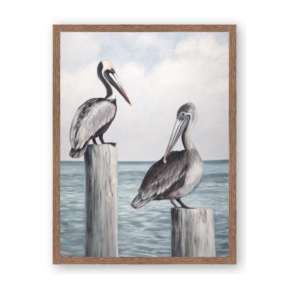 Observing Pelicans
