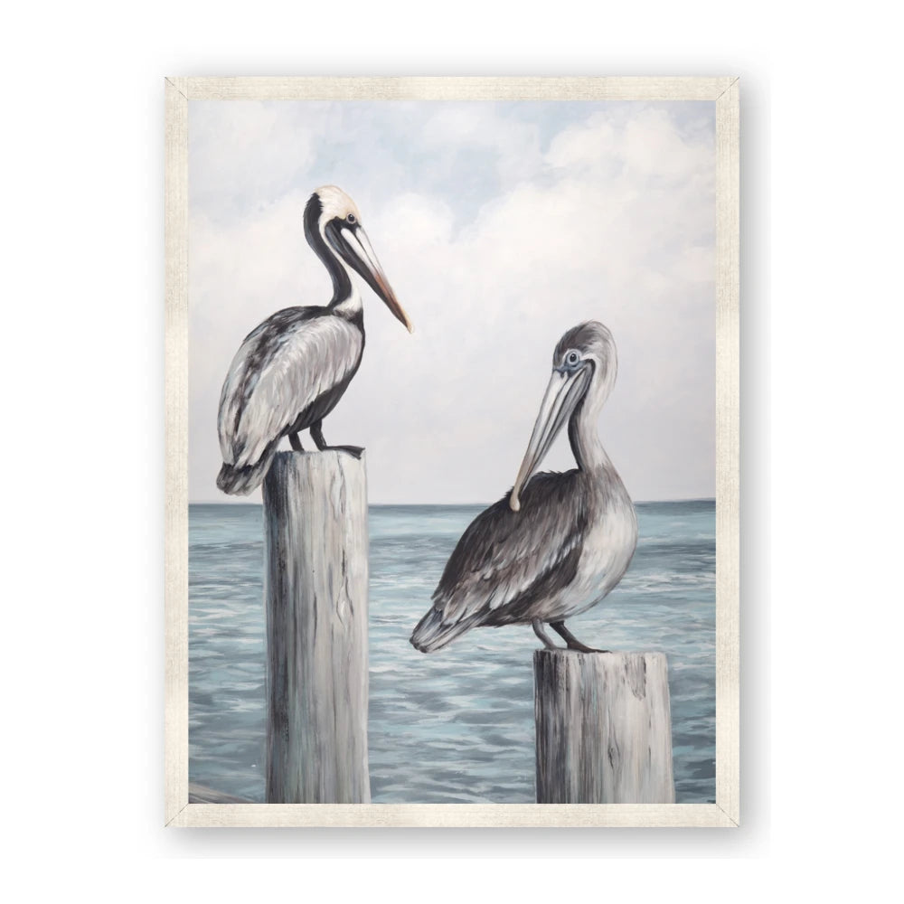 Observing Pelicans