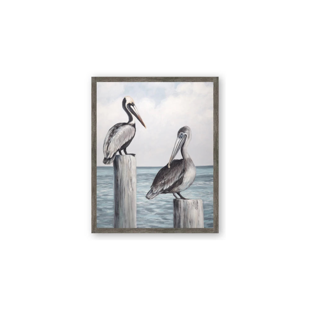 Observing Pelicans
